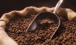 ۹۰ درصد قهوه مصرفی تولید داخل است
