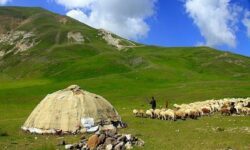 به مناسب 15 مهر، روز روستا و عشایر و بر اساس نتایج سرشماری عمومی کشاورزی 1403