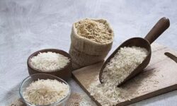 ترفندهای تشخیص برنج مرغوب ایرانی از نوع تقلبی در بازار