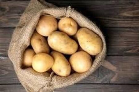 واردات سیب زمینی تا اردیبهشت ادامه دارد