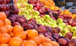کمبودی در عرضه میوه شب عید نداریم