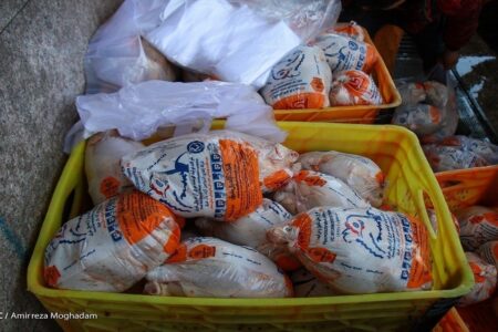 تولید ماهانه مرغ گوشتی به ۲۶۰ هزارتن رسید