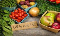 ایران جزء ۱۵ کشور نخست تولید ارگانیک در دنیا می‌شود