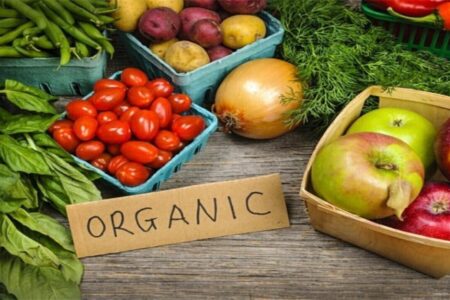 ایران جزء ۱۵ کشور نخست تولید ارگانیک در دنیا می‌شود