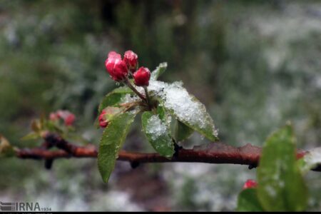 هشدار نارنجی برای کشاورزان؛ نفوذ زبانه‌های پرفشار سرد در روزهای آغازین سال نو