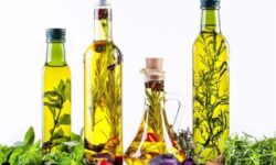 ضرورت اجرای طرح‌های فناورانه در حوزه گیاهان دارویی توسط جهاد دانشگاهی