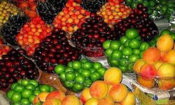 تولید میوه و صیفی مازاد بر نیاز کشور