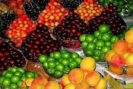 تولید میوه و صیفی مازاد بر نیاز کشور