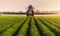 مصوبه الگوی کشت بدون همکاری سایر دستگاه‌ها اجرا نخواهد شد