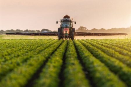 مصوبه الگوی کشت بدون همکاری سایر دستگاه‌ها اجرا نخواهد شد
