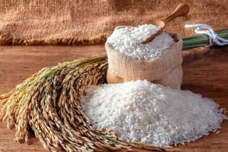 کاهش ۳۵ درصدی قیمت برنج شمال در بنکداری‌ها
