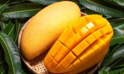 سلطان میوه‌های استوایی با خواص بی‌نظیر برای بدن