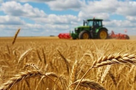 واریز جدید مطالبات گندم‌کاران تا ۲۰ خرداد